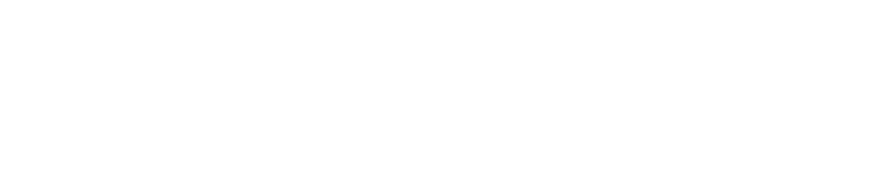 厳選広島和牛を